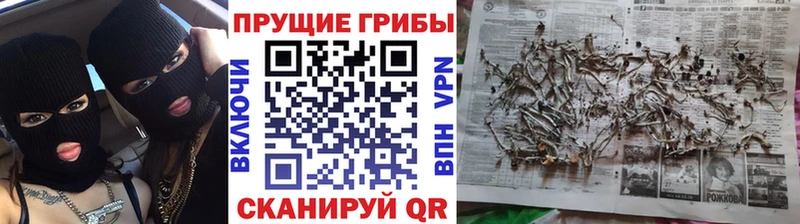 Галлюциногенные грибы GOLDEN TEACHER  хочу наркоту  Одинцово 