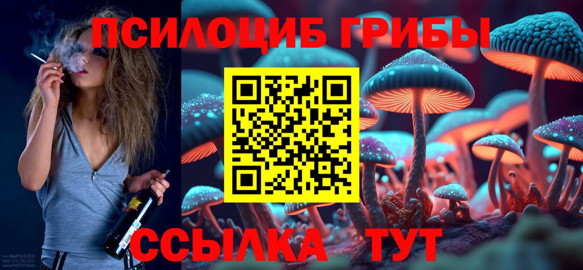 Псилоцибиновые грибы мухоморы  хочу наркоту  Одинцово  Вход с VPN  Галлюциногенные грибы мухоморы 